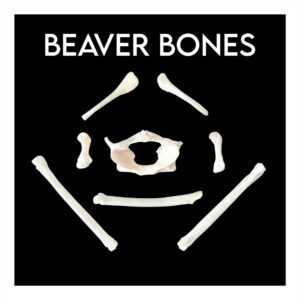 Beaver Bones