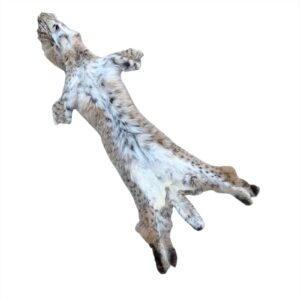 Bobcat Fur: Damaged / X-Large