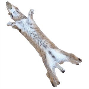 Bobcat Fur: #3 Quality / X-Large