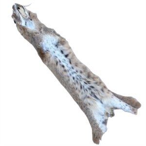 Bobcat Fur: #2 Quality / X-Large