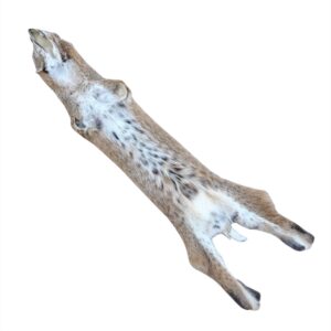 Bobcat Fur: #1 Quality / Large