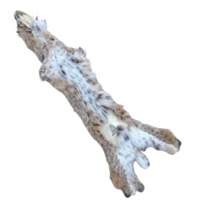 Bobcat Fur: #3 Quality / X-Large