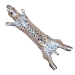 Bobcat Fur: #2 Quality / X-Large