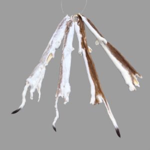 Ermine Fur: #3 Quality / Large / Brown