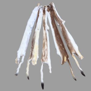Ermine Fur: #2 Quality / Large / Brown