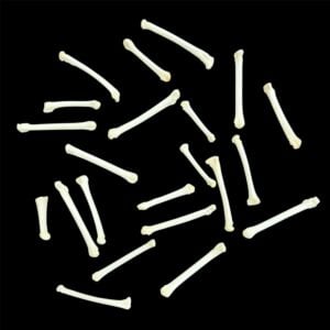 Fisher Bone:  Foot / Individual / Large