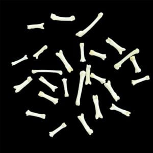 Fisher Bone:  Foot / Individual / Small
