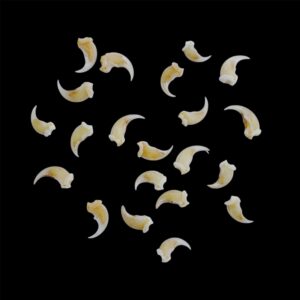 Fisher Claws: Individual