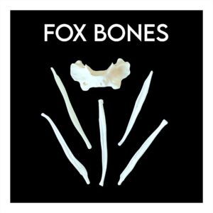 Fox Bones