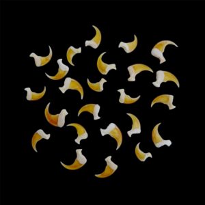 Lynx Claws: Individual / Golden