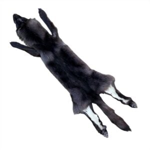 Wolf Fur: #1 Quality / X-Large