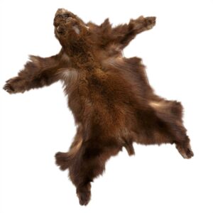Black Bear Fur:  #2 Quality / Medium