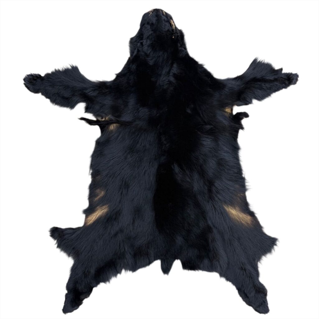Black Bear Fur:  #1 Quality / Large