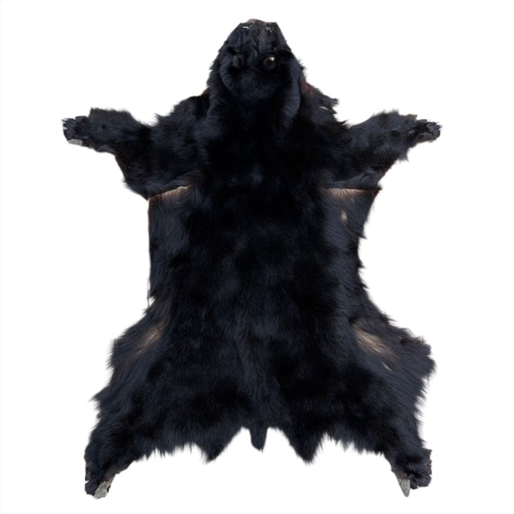 Black Bear Fur:  #1 Quality / XXXLarge