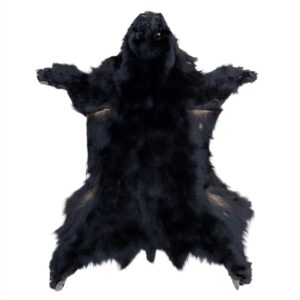 Black Bear Fur:  #1 Quality / XXXLarge