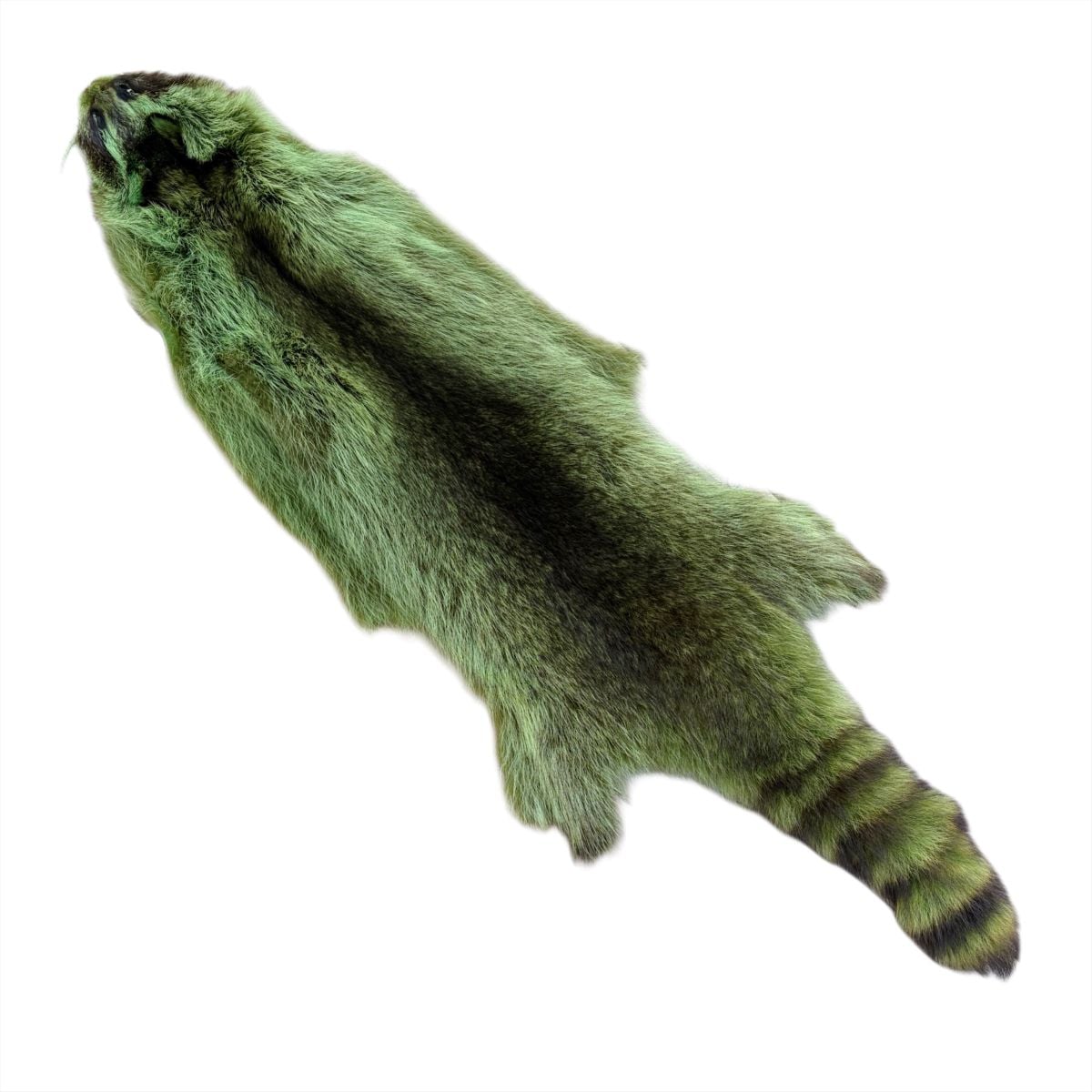 Raccoon Fur:  #1 Quality / XLarge / Green
