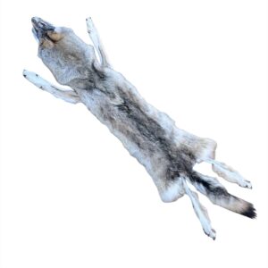 Wolf Fur:  #3 Quality / XLarge