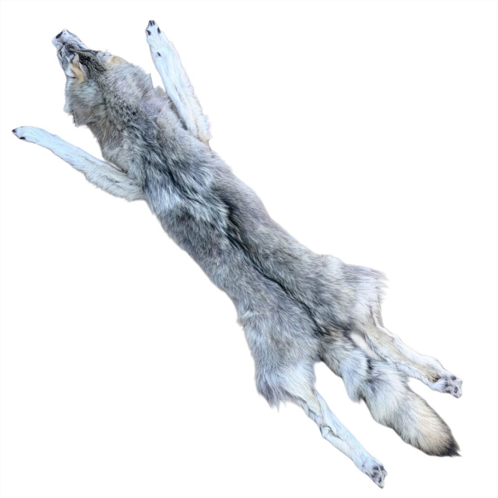 Wolf Fur:  #2 Quality / Large