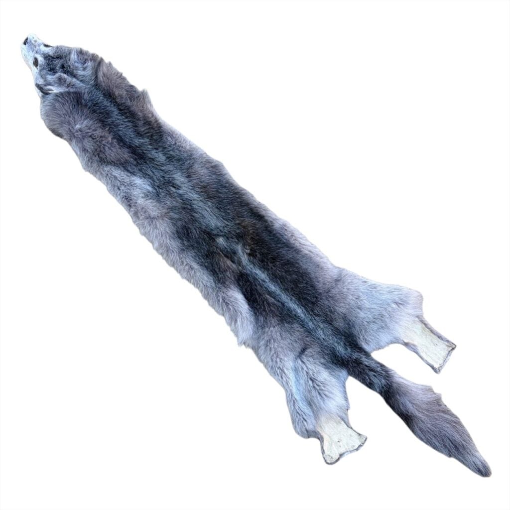Wolf Fur:  #2 Quality / XLarge