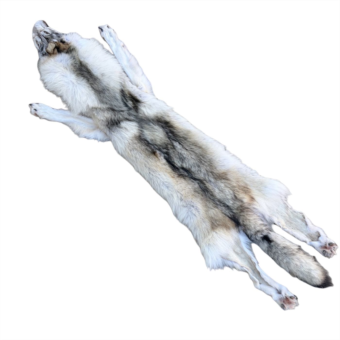 Wolf Fur:  #1 Quality / XXLarge