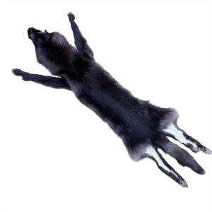 Wolf Fur:  #1 Quality / XXLarge